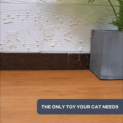 The Petty Tail (discounted)