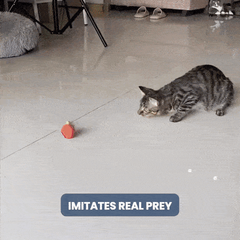 The Petty Ball (discounted)