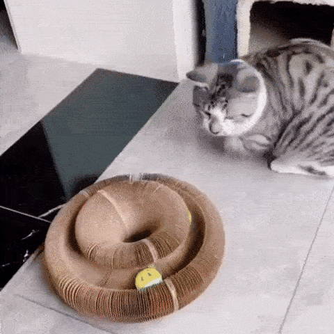 Boopz Ball (discounted)